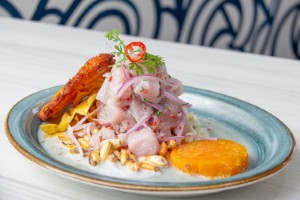 Mexican Ceviche 
Fresh fish cured in lime juice with tomato, onion, and cilantro — light, zesty, and refreshing.