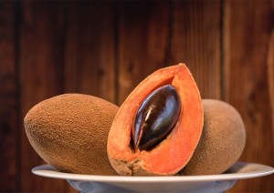 Mamey Sapote (Pouteria sapota)
Large oval fruit with creamy orange flesh, tasting like sweet potato blended with pumpkin and caramel.