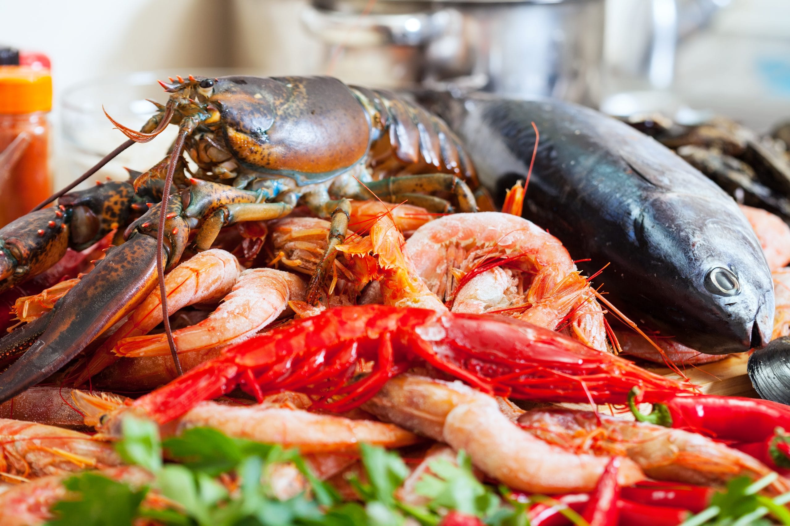Seafood Lovers’ Guide: Top 6 Dishes to Eat Along Chile’s Coast