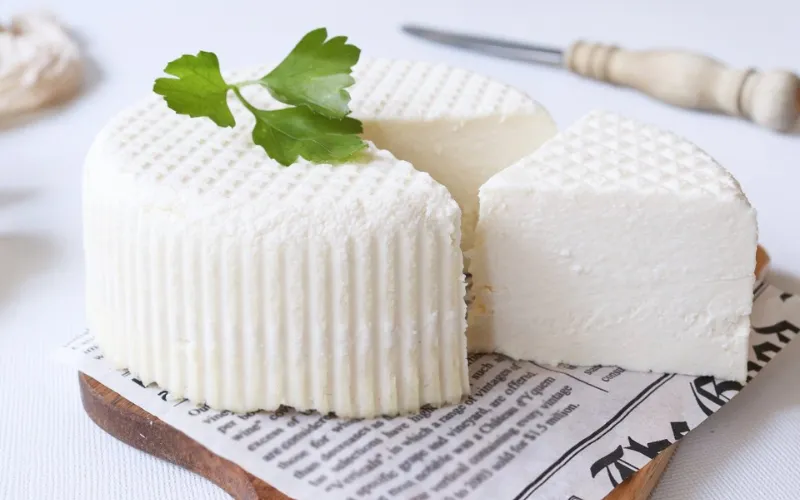 cheese