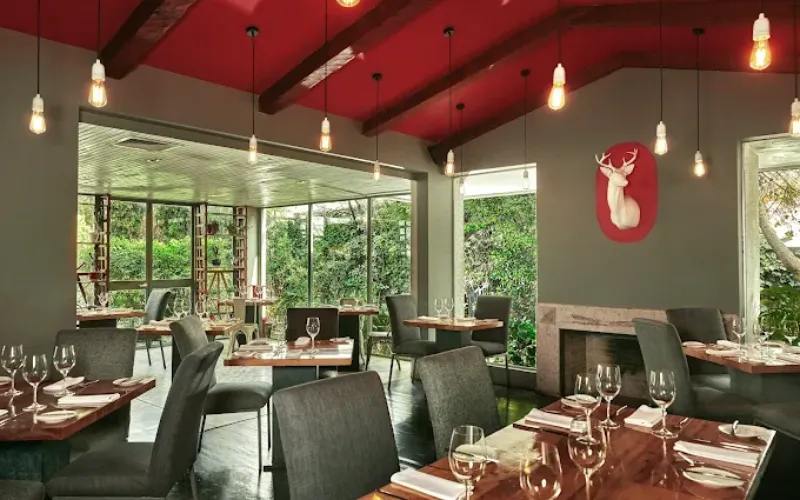 Fancy Eats in Santiago: Tradition Elevated