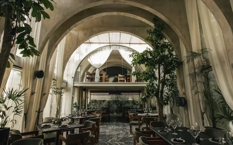 Top 8 Classy Restaurants in Merida