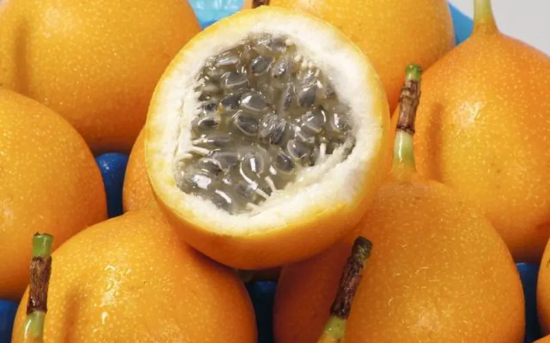 Granadilla