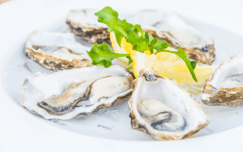Top 3 Best Oysters in Florianópolis: Discover the Island’s Prized Delicacy