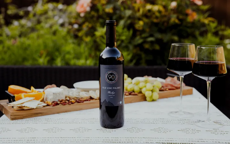 Mendoza Wines: A Tasting Guide&nbsp;